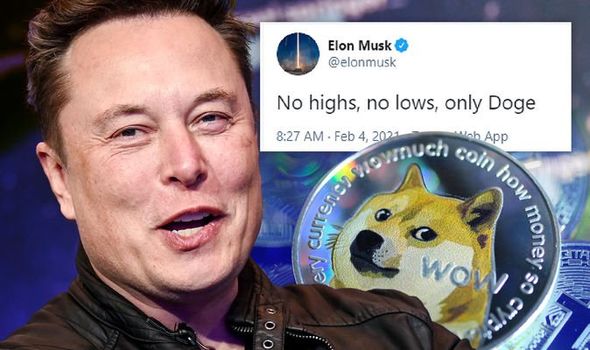 Dogecoin (DOGE): A tweet from Elon Musk sets the web on fire!