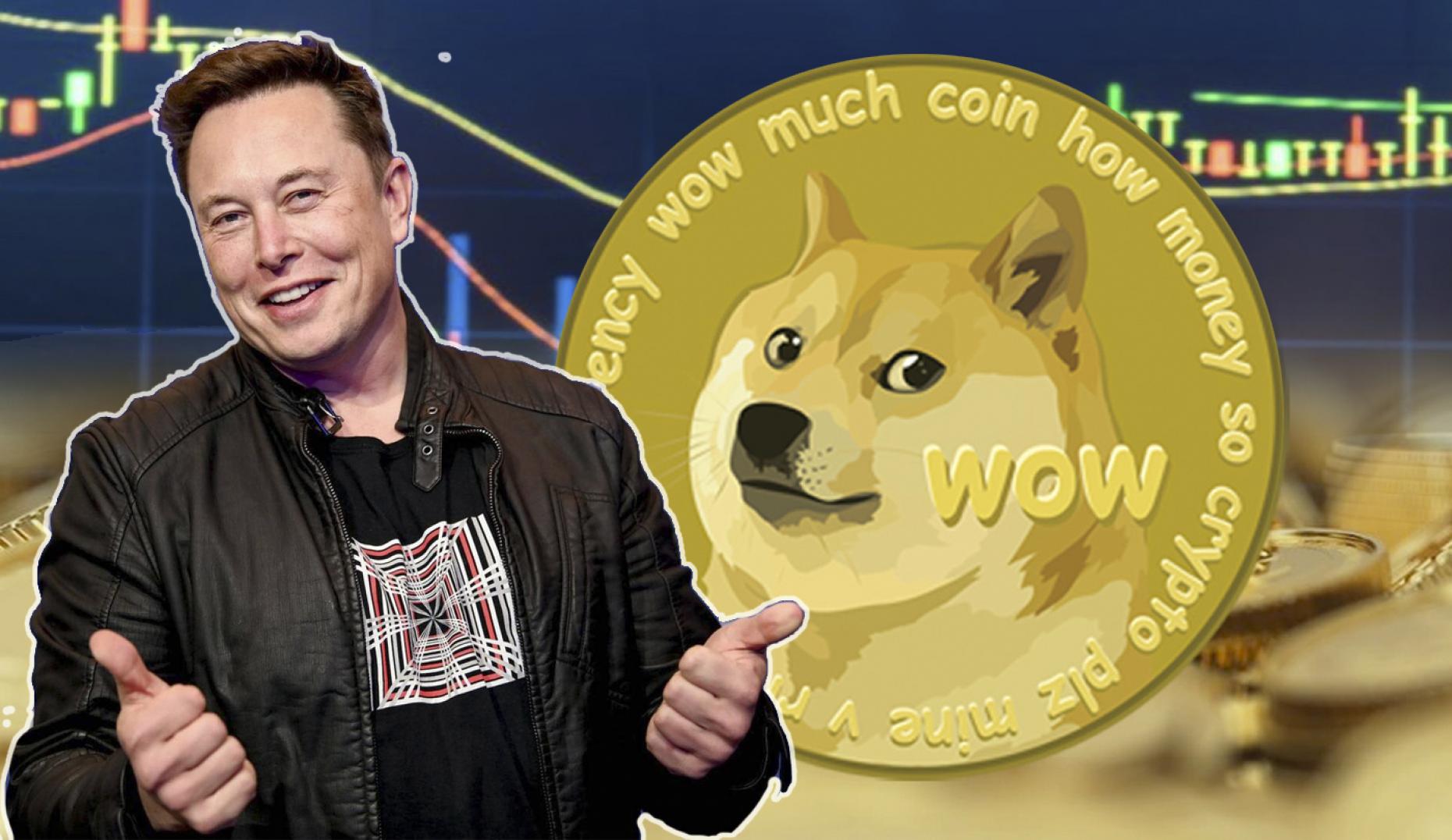 NGN в DOGE (Nigerian Naira в Dogecoin) | конвертировать, обменный курс