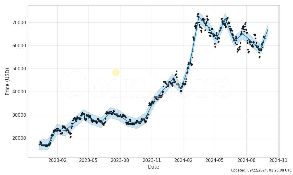 How high could bitcoin's price potentially go? - Times Money Mentor