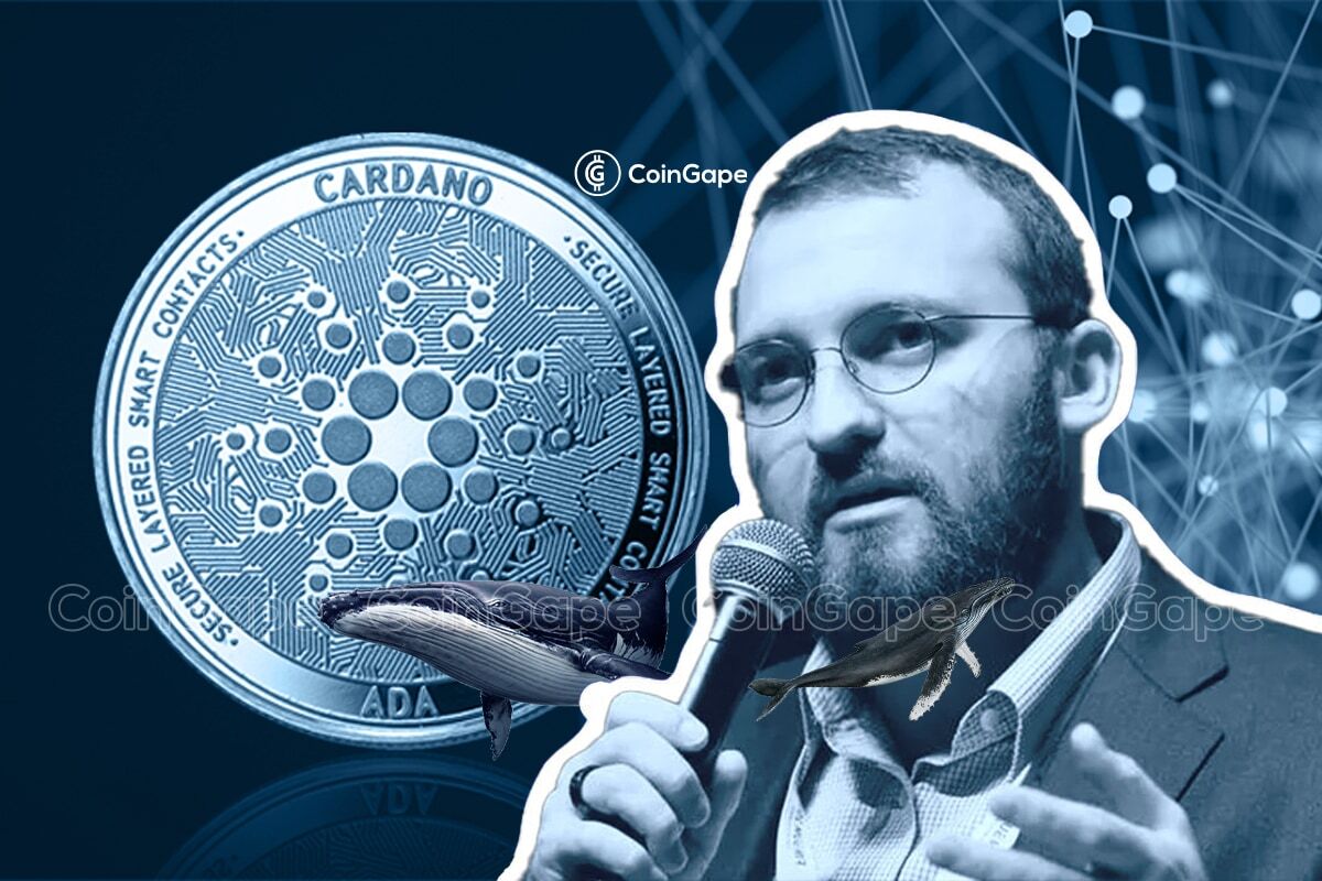 Cardano fails at 'flipping' - Here's what it means - AMBCrypto