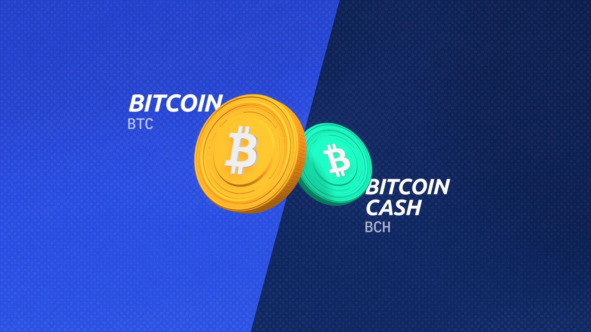 1 BTC to BCH - Bitcoins to Bitcoin Cash Exchange Rate