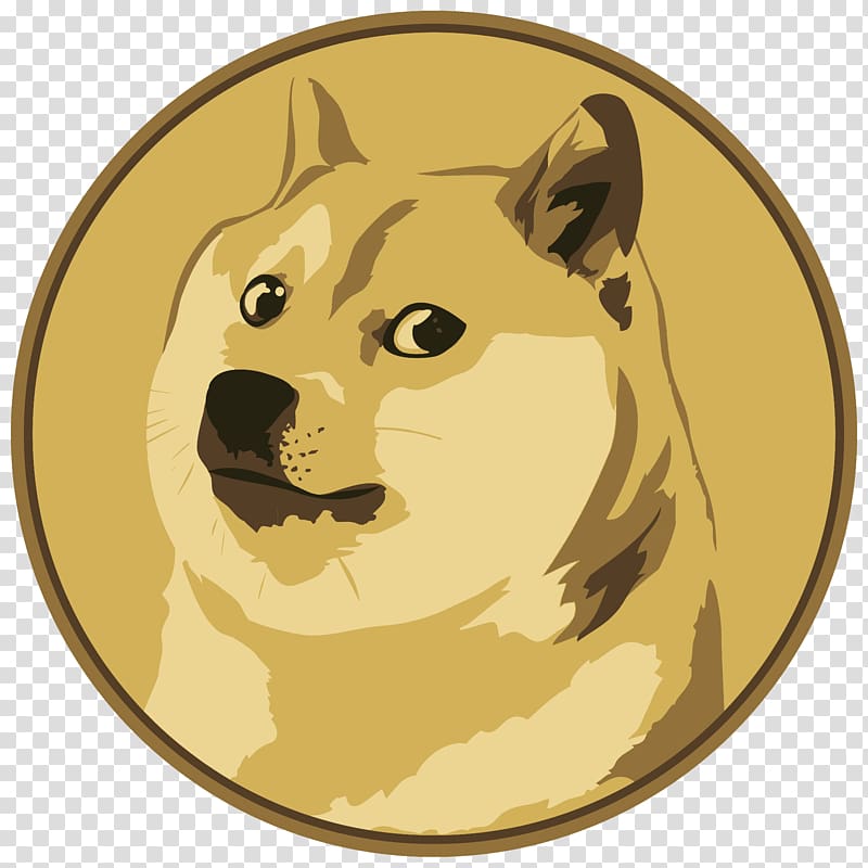 Dogecoin Price | DOGE Price Index and Live Chart - CoinDesk