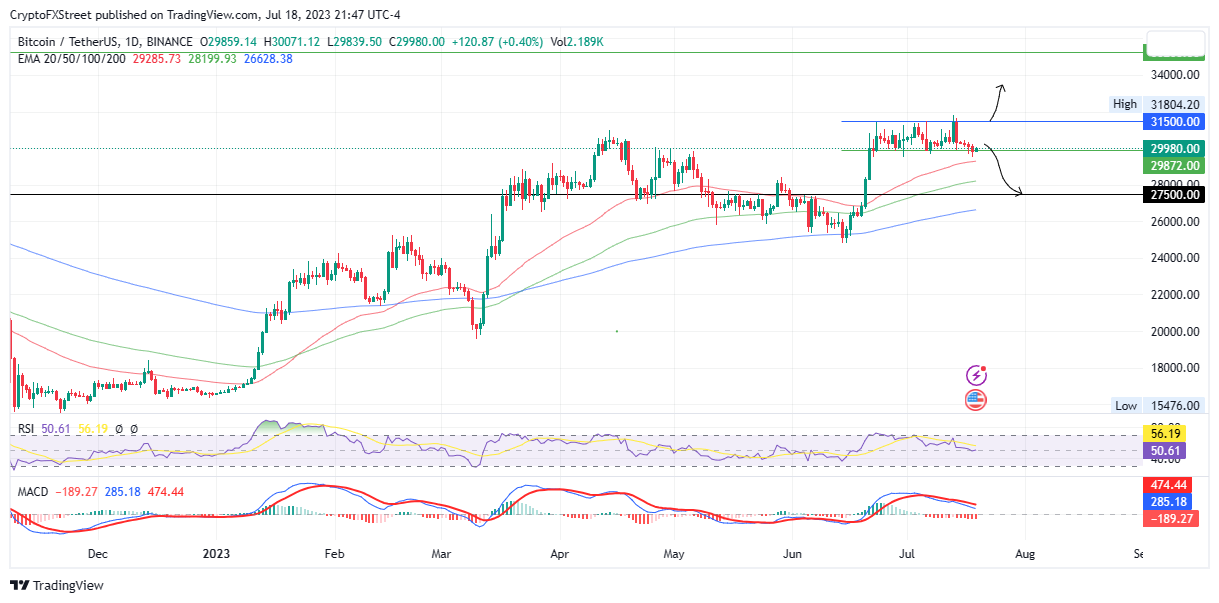 Cathie Wood Of Ark Invest Predicts $k ETH By – Here Are Her Reasons | Trading Education