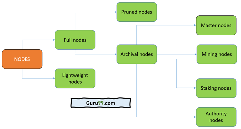 What Are Blockchain Nodes?