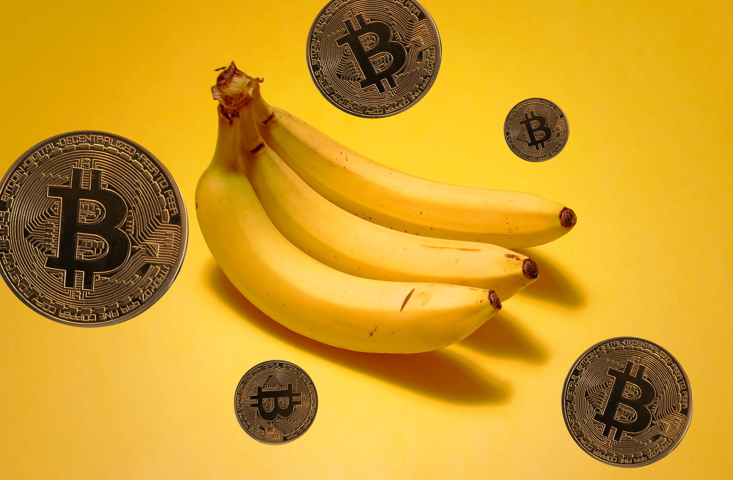 Banana price - BANANACOIN to USD price chart & market cap | CoinBrain