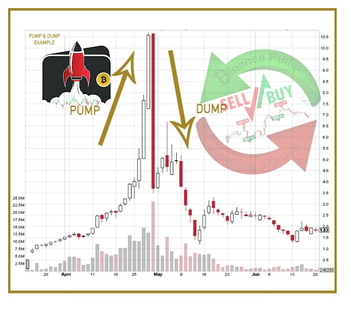 Crypto Pump Island Premium Signals: A Review - CoinCodeCap