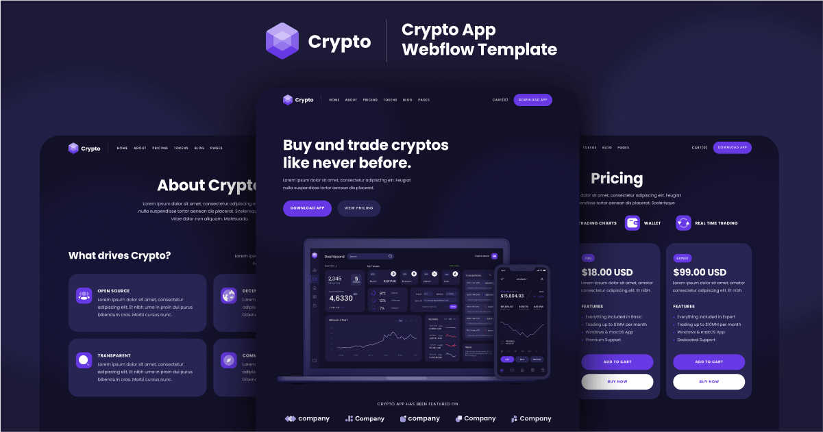 Crypto - App HTML5 Responsive Website Template