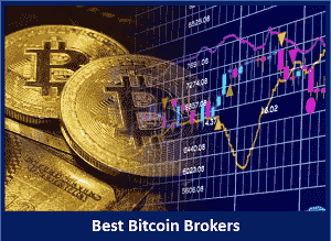 Best Bitcoin Forex Brokers: How to Choose the Best Bitcoin Forex Broker | family-gadgets.ru