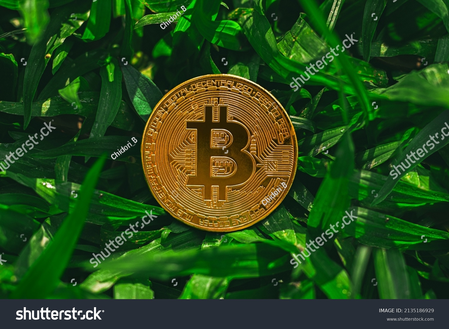 GRASS (GRASS) coin price & chart, market cap, 0xfe9edc3cc9c4bcbfbcdaa27eb on ETH