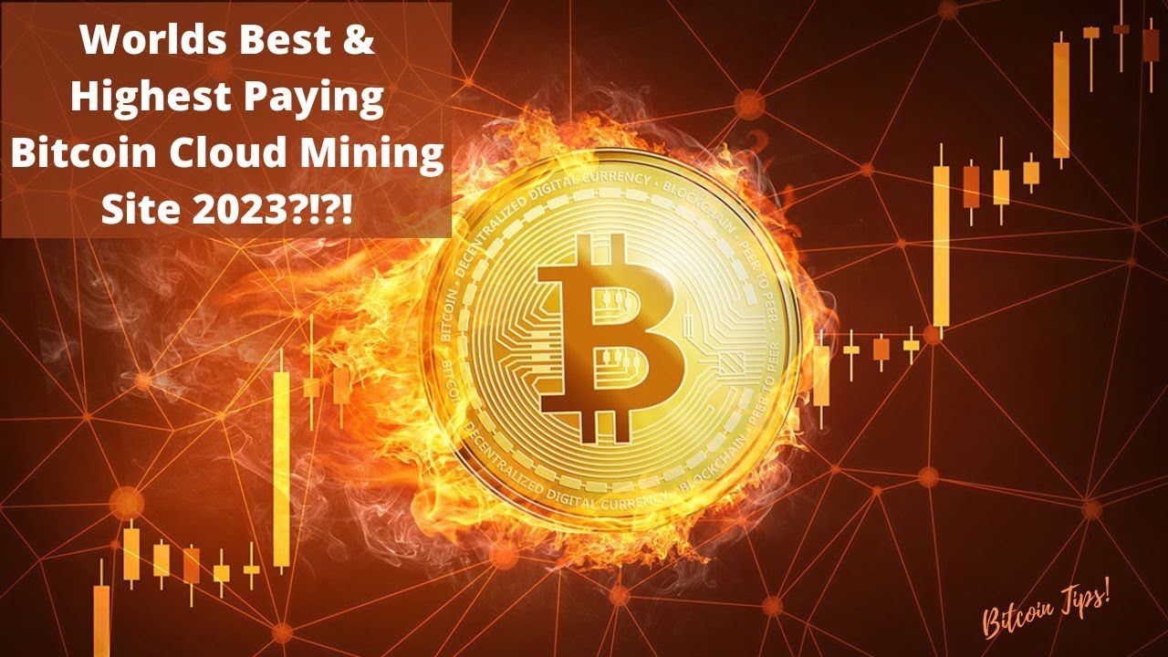 10 Best Cloud Mining Sites In – Daily Payouts | AlexaBlockchain