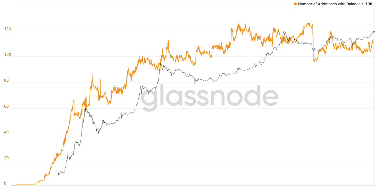 How many cryptocurrencies can a wallet hold?