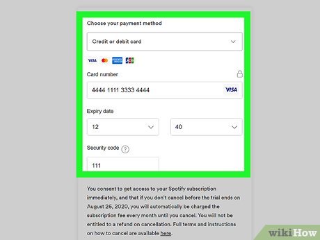 Solved: Cannot select payment using card - The Spotify Community