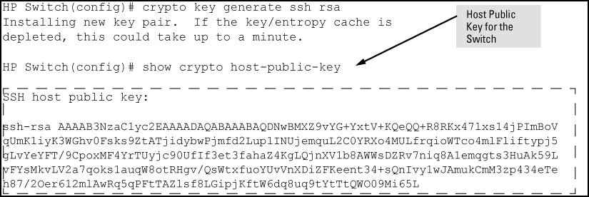 SSH Config and crypto key generate RSA command – Virtual Remote Networking