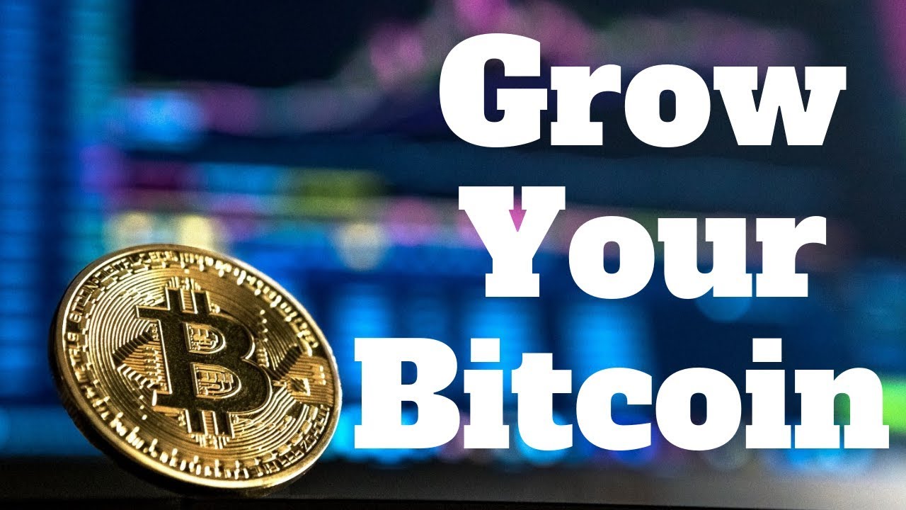 How to Invest in Bitcoin: A Beginner's Guide