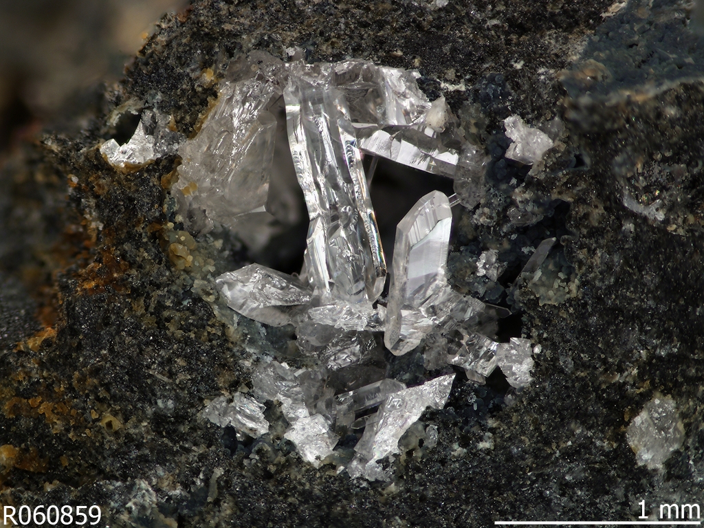 Human-Caused Minerals: Another Sure Sign of the Anthropocene? | Discover Magazine