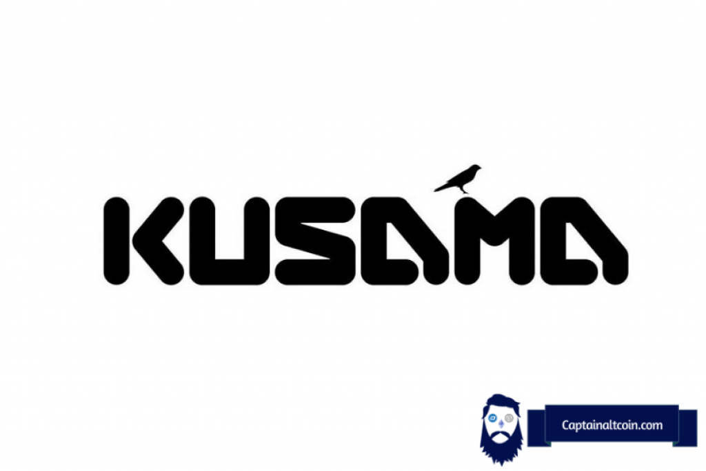 What is Kusama Coin and Differences between KSM and Polkadot