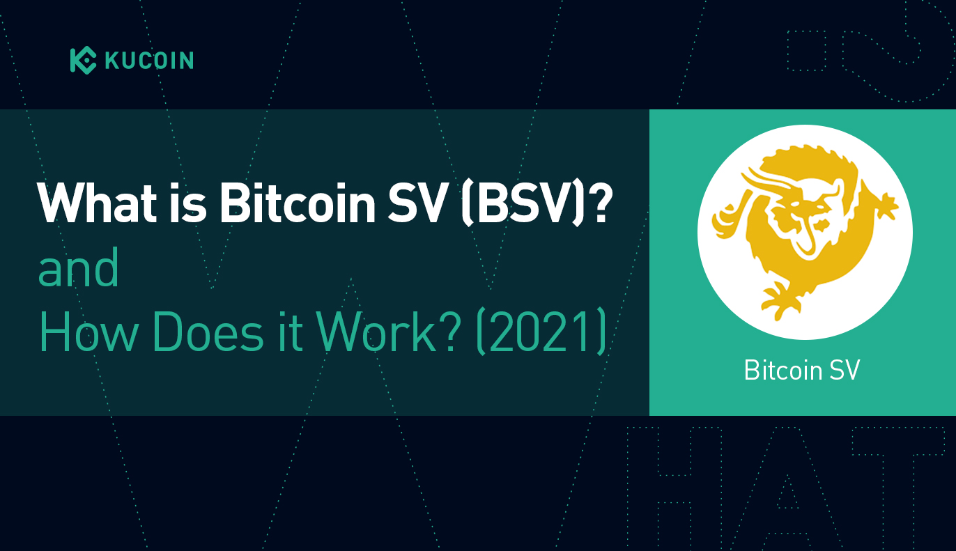 Bitcoin SV (BSV) vs Quantum Resistant Ledger (QRL) - What Is The Best Investment?