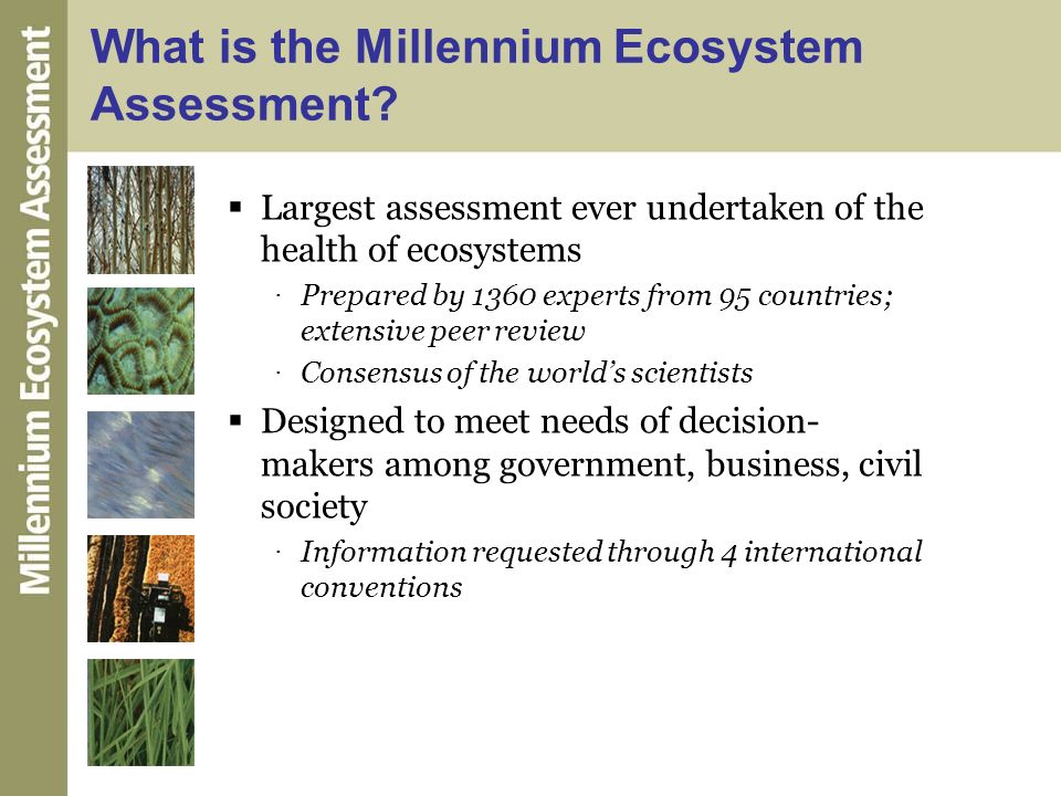 Millennium Ecosystem Assessment (english only) | CMS