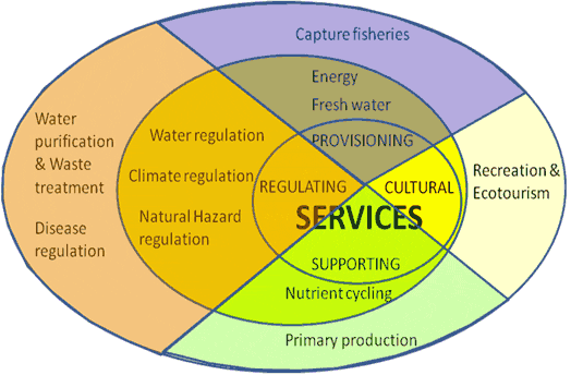 Millenium Ecosystem Assessment-Overview | Environment UPSC Notes