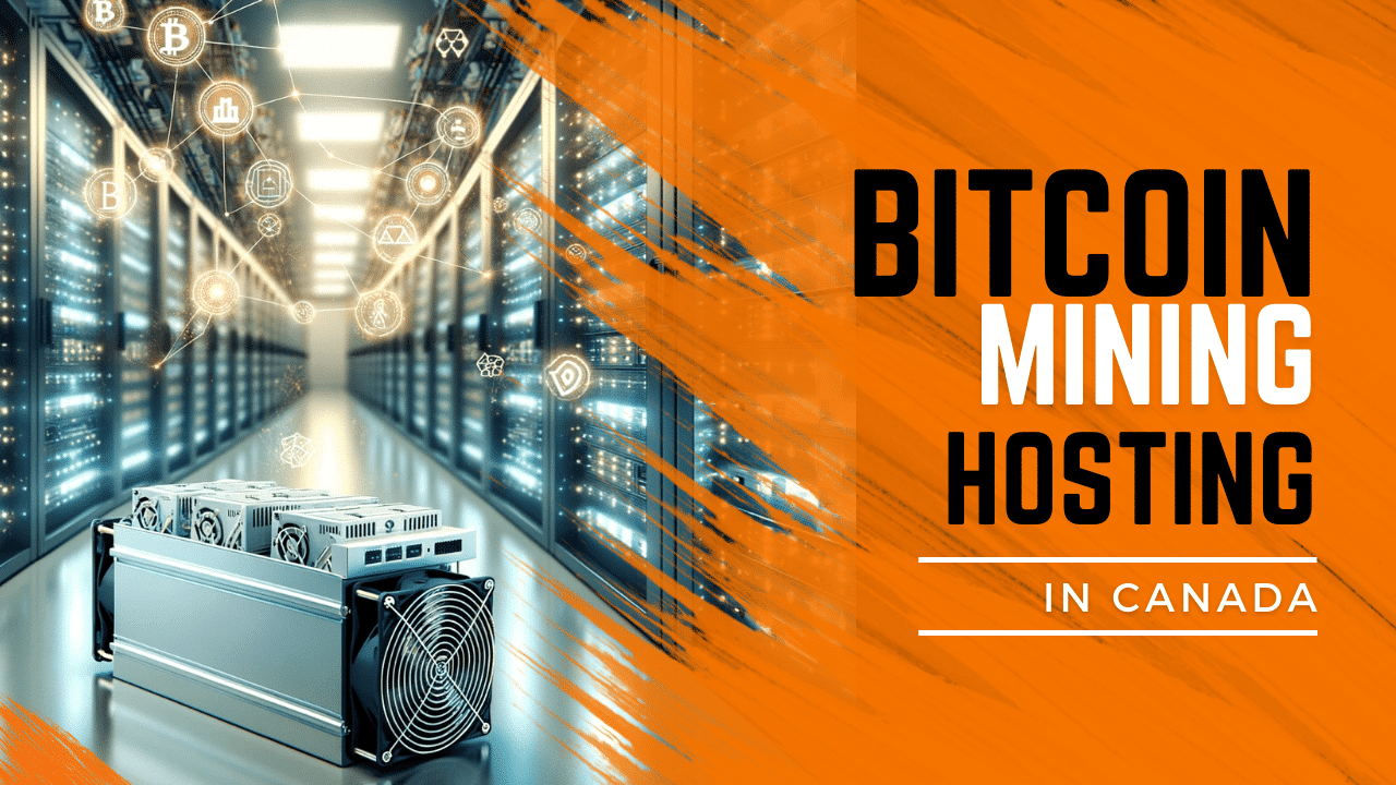 The Ultimate Guide to Crypto Mining Hosting - D-Central