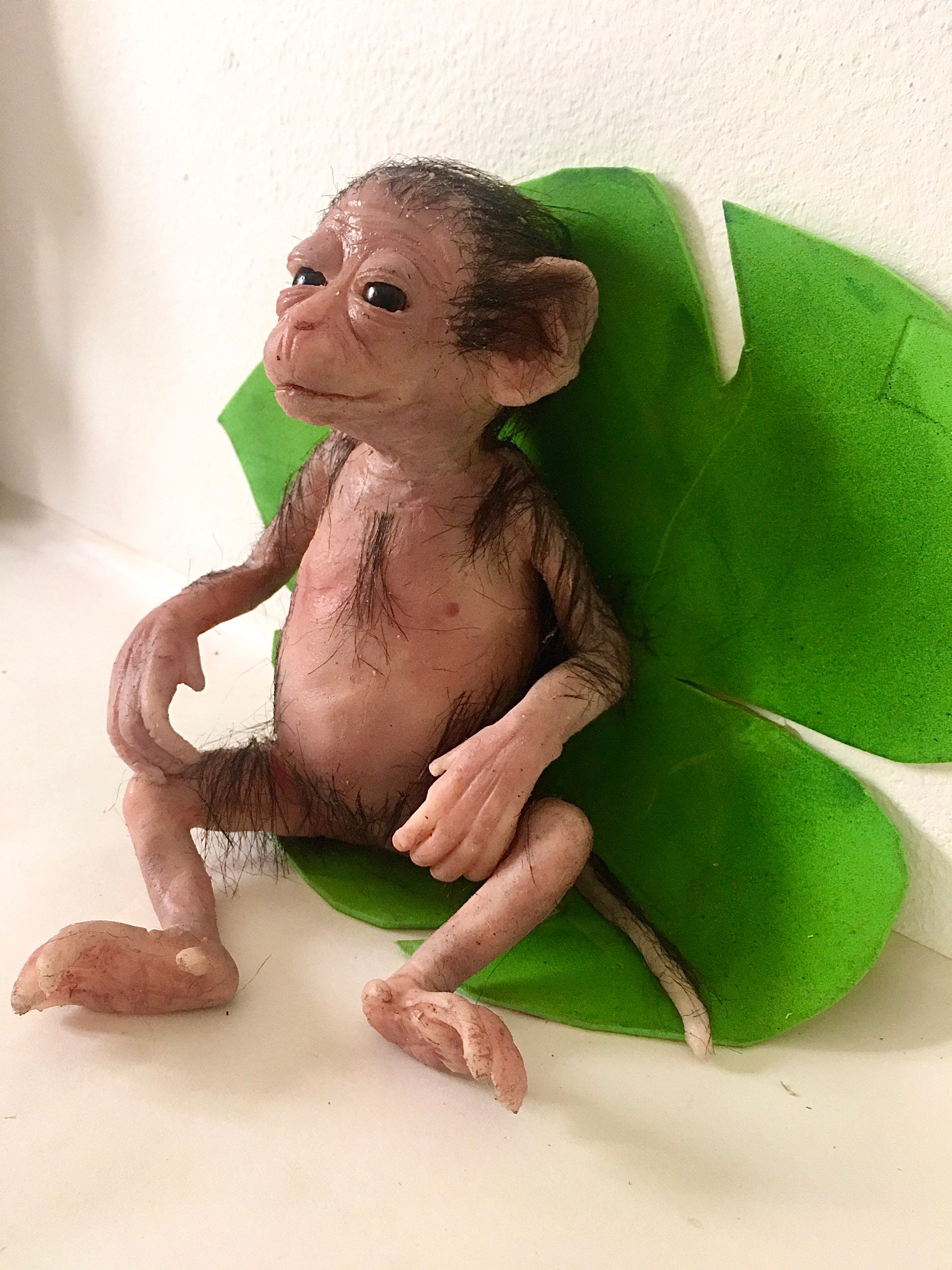 Finger Monkey Pets