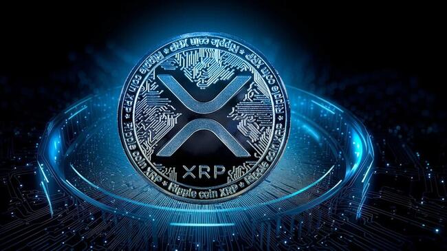 XRP (XRP) Price CAD | News, Trends & Charts | Bitbuy