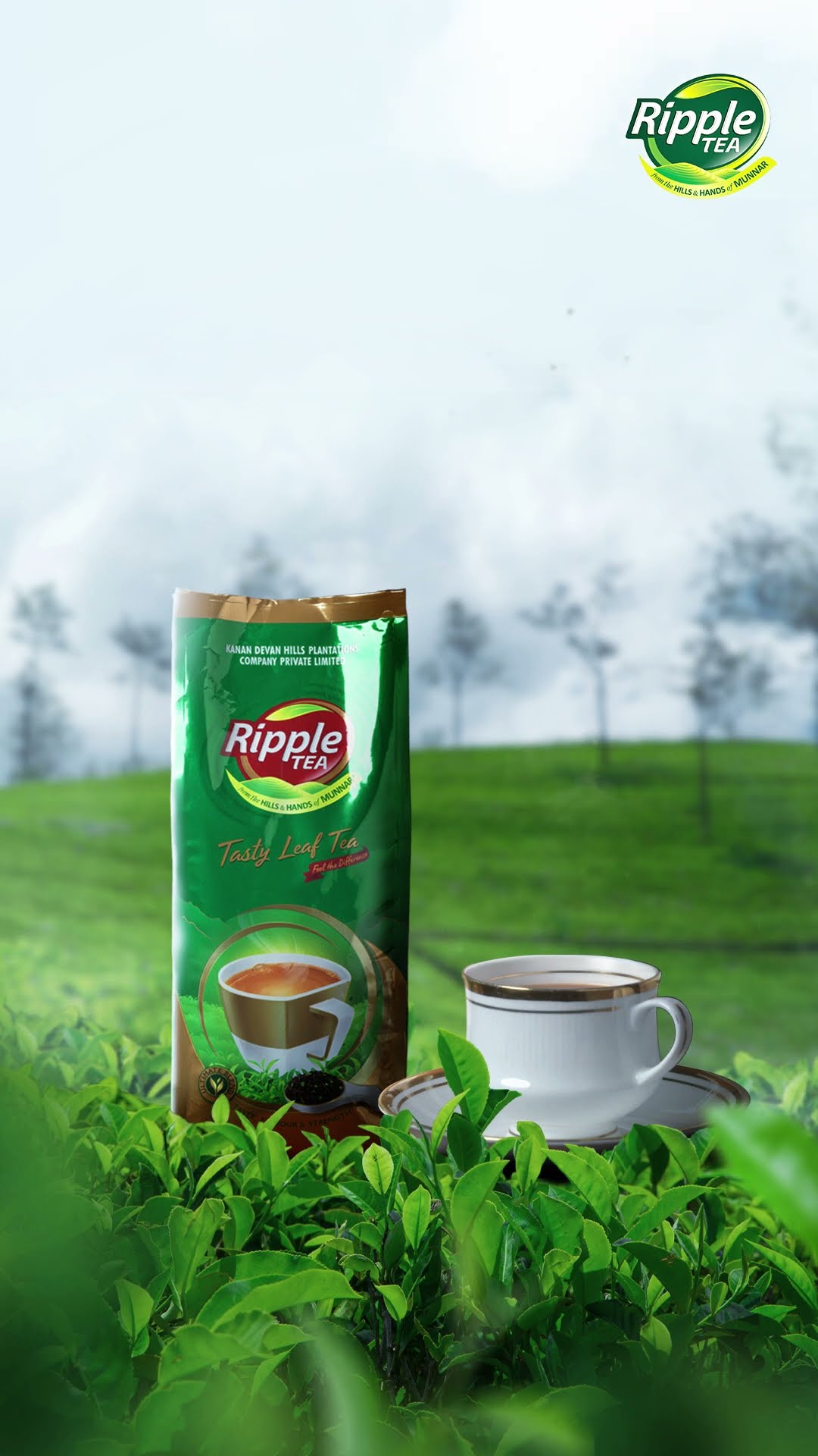 Ripple Tea | Reviews on family-gadgets.ru