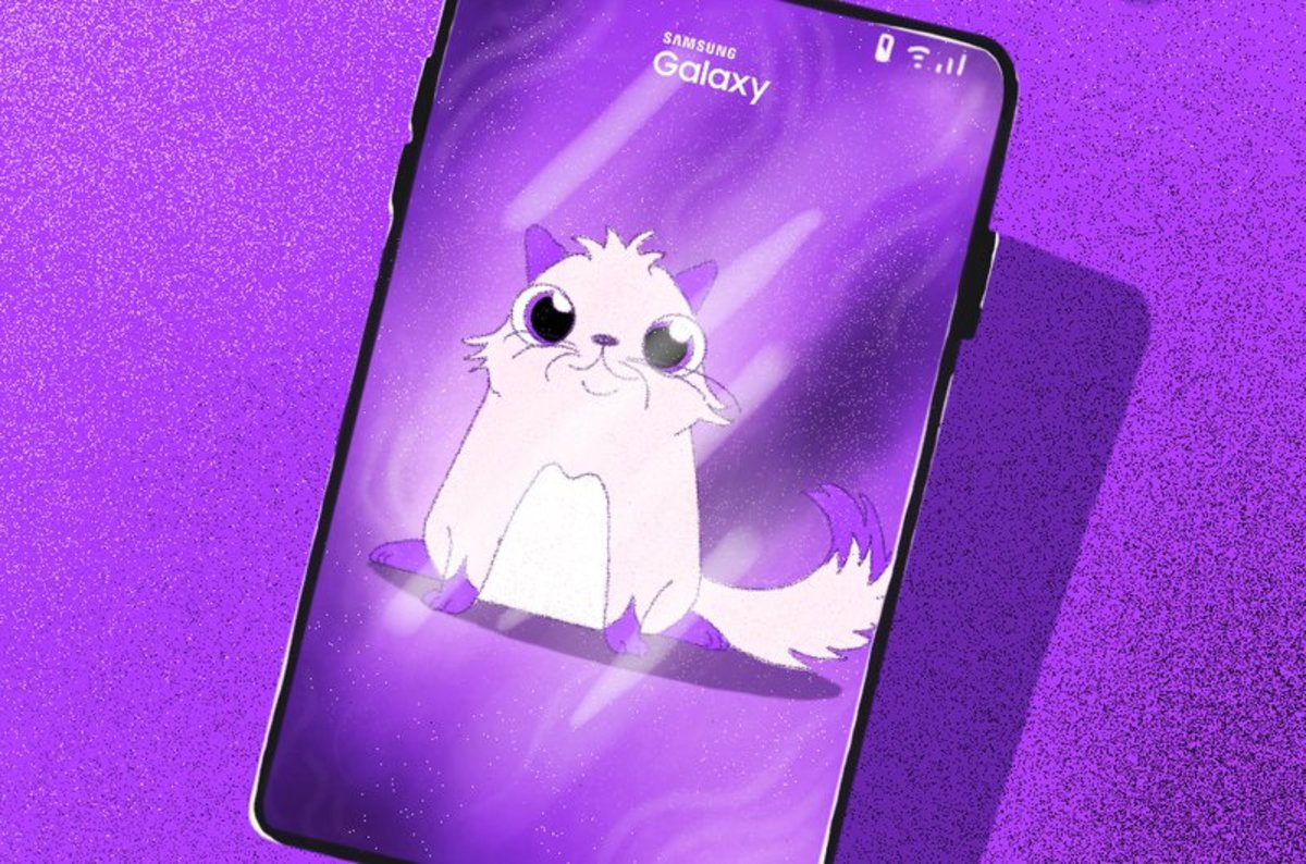 Samsung Galaxy S10 with Infinity O display, built-in Cryptocurrency wallet surface in live images