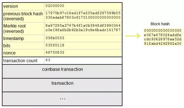 SHA Coins | CryptoRival