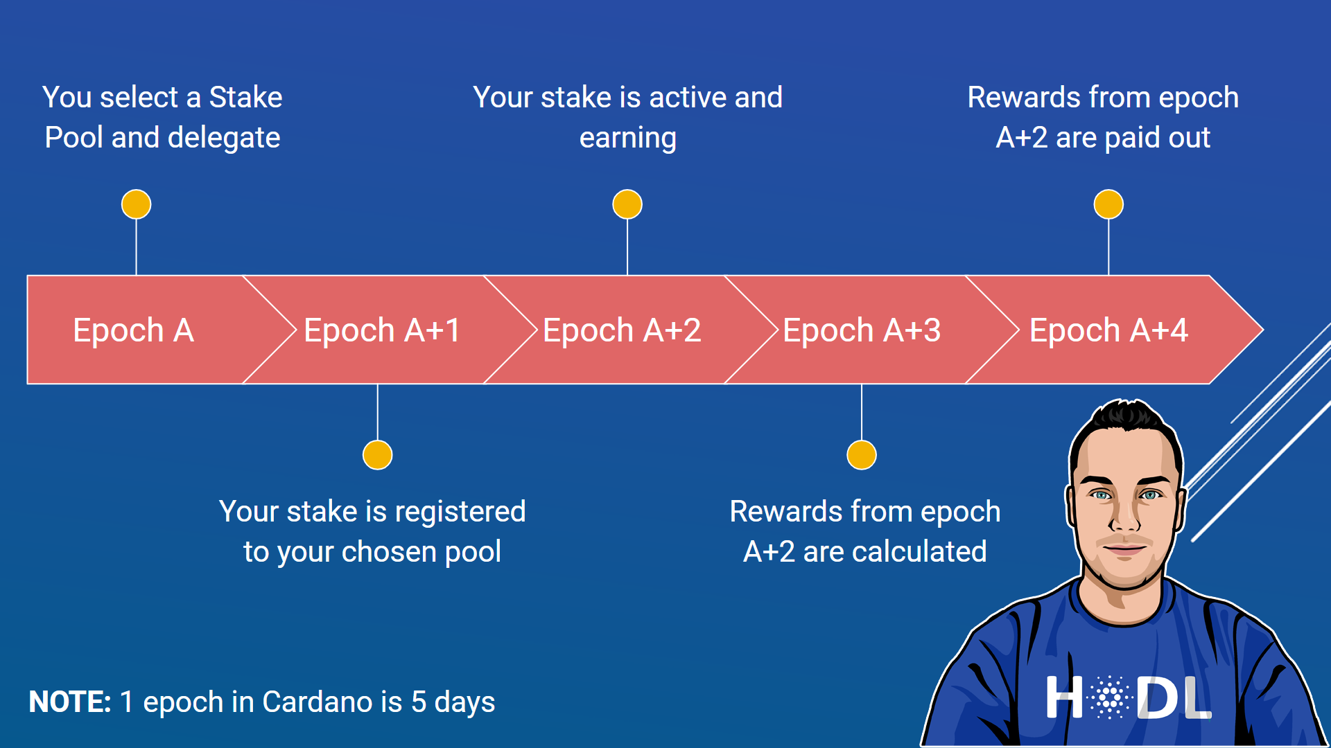 ADA Calculators | Cardano With Paul Staking Pool