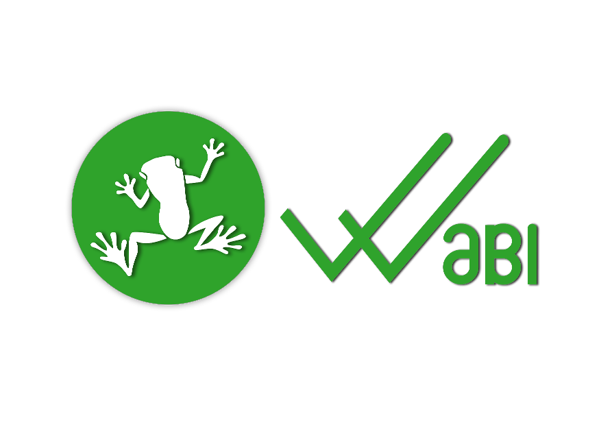 WABI ($) - Wabi Price Chart, Value, News, Market Cap | CoinFi