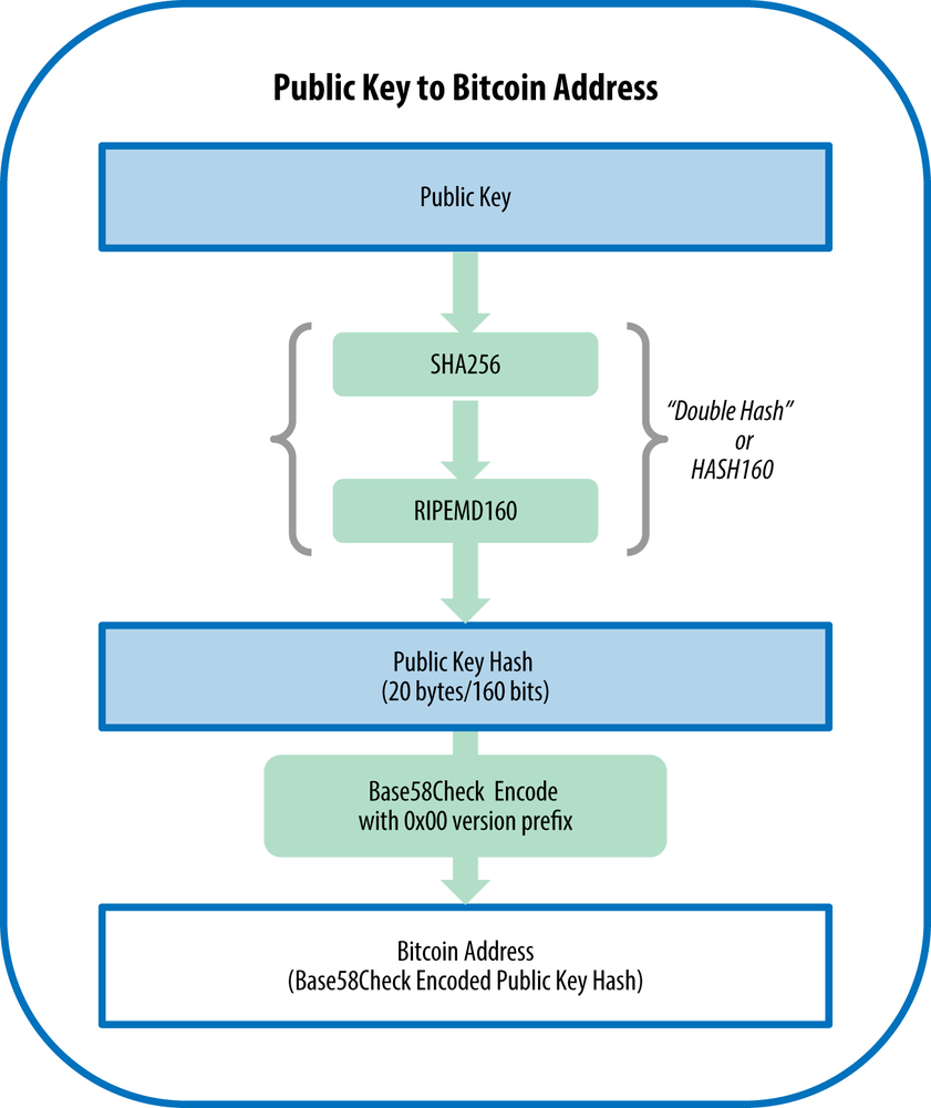 What is a wallet address, and how do I find it? | Zengo Help Center