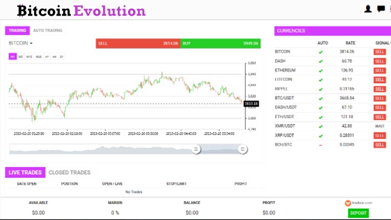 Bitcoin Evolution: Past, Present & Future Insights for Investors - Video Summarizer - Glarity