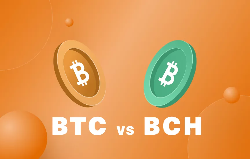 What Is Bitcoin Cash? There’s More Than One Bitcoin | Gemini