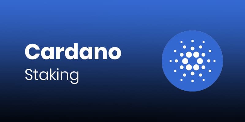 7 Best Cardano Staking Platforms 