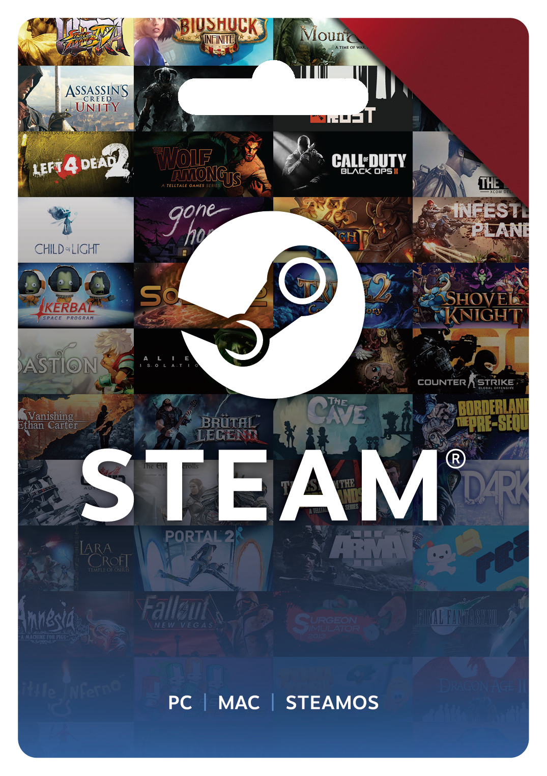 All You Need To Know About Steam Wallet Gift Card | Independent Newspaper Nigeria