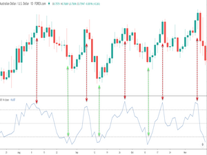 Williams %R PDF Guide - Trading PDF