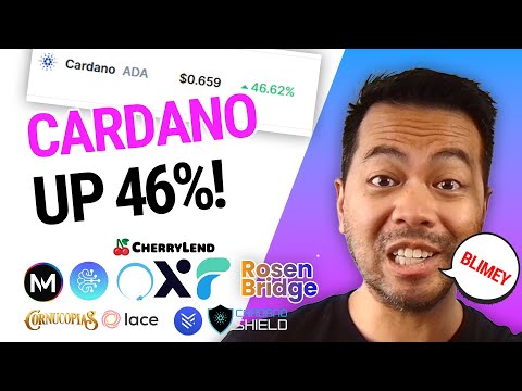 CARDANO ADA - THE LARGEST DAY EVER!!! $ MILLION! · Cardano Feed